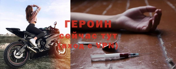 шишки Корсаков