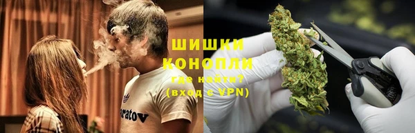шишки Корсаков