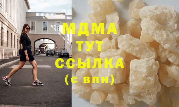 шишки Корсаков