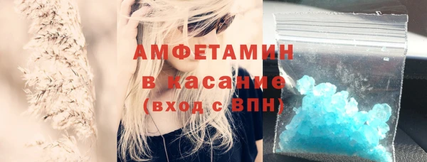 шишки Корсаков