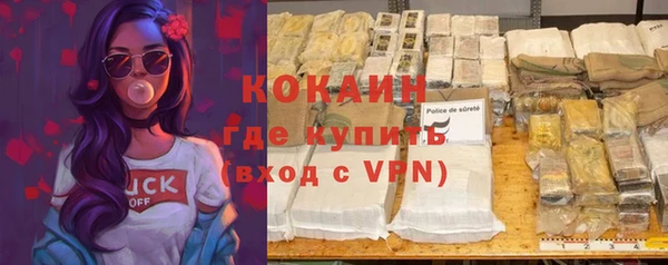 шишки Корсаков